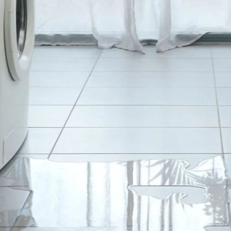 Appliance Leak Cleanup in Norwood, OH